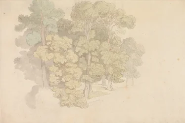 A Group of Trees